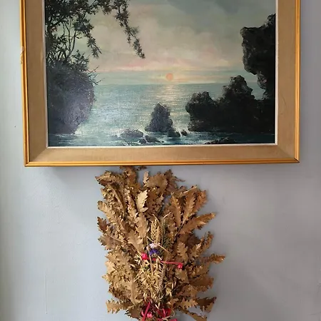 Casa de hóspedes Sunshine 免费洗衣机 高速上网 *