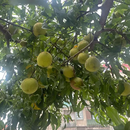 Casa de hóspedes Sunshine 免费洗衣机 高速上网