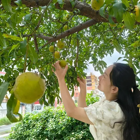 Sunshine 免费洗衣机 高速上网 Guest house *